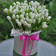 99 белых тюльпанов в коробке купить с доставкой