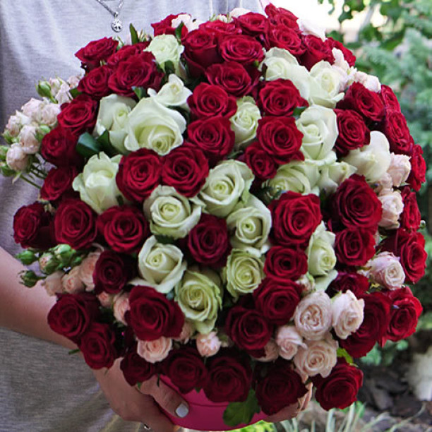 101 rose mix red and white in box buy with delivery